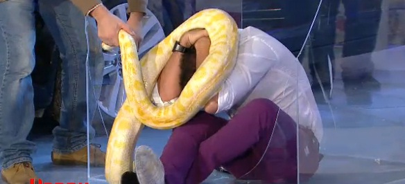 Impietrit de groaza! Maruta s-a luat “la tranta” cu sarpele! Vezi cum s-a descurcat! FOTO