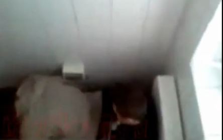 Elevii care faceau sex in baia scolii se apara: “Doar mimam!” – VIDEO