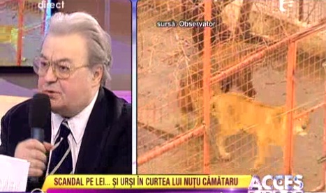 Vadim Tudor solidar cu Nutu Camataru! “Nu au gasit nimic si s-au gandit sa-i ia animalele. Daca nu erau leii o ridicau pe batrana?”