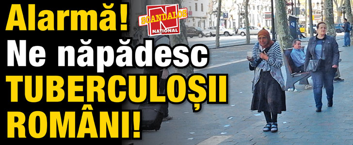„Brutarul” Razvan Herascu ramane fara 6,5 hectare de teren din cauza datoriilor