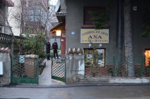 Galeria de arta Ana - Narcis Pop (5) - Ziarul National