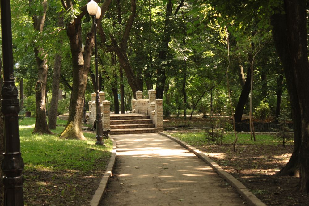 Ce au facut infractorii in parcul Copou este de neimaginat. Criminalistii au fost socati! (FOTO/VIDEO)
