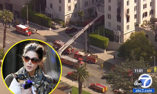 “A ars de viu”! Apartamentul actritei din Twilight a luat foc! (VIDEO)