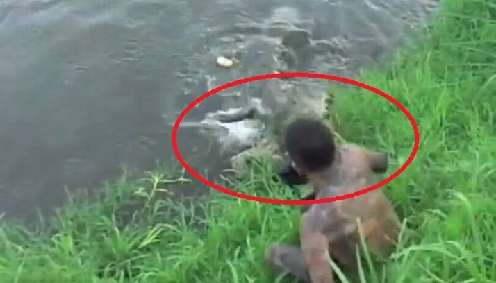 Prietenii i-au strigat disperati sa se fereasca: In clipa urmatoare a fost atacat de crocodil! (VIDEO)