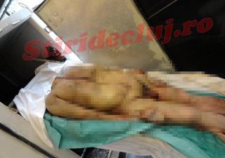 ABSOLUT ORIPILANT: Capete taiate si cadavre mutilate descoperite la Cluj! (FOTO SOCANTE)
