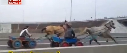 Halucinant! Curse ilegale de carute in judetul Constanta! (VIDEO)