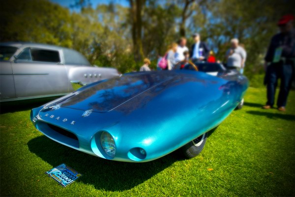 el_tiburon_roadster - Ziarul National