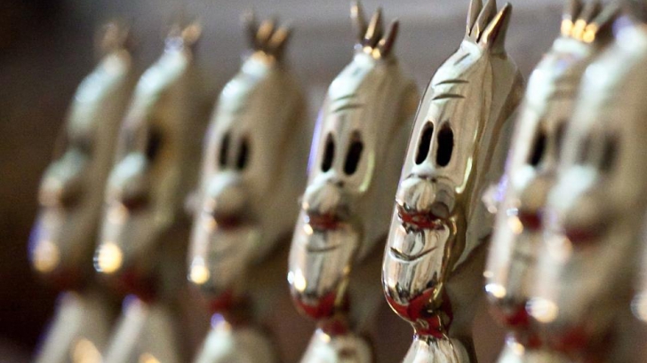 Cine sunt castigatorii premiilor GOPO 2013! (VIDEO)