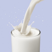 LAPTE INFESTAT CU AFLATOXINA, substanta cu efect cancerigen, retras de pe piata romaneasca!