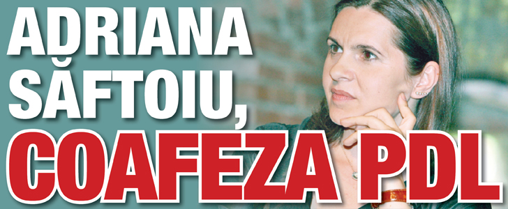 Saftoiu, coafeza PDL
