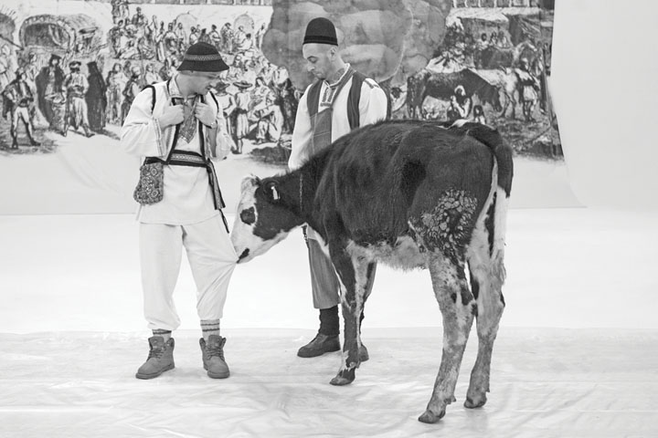Habar n-avea ce talent are! Bendeac a “agatat”o vaca