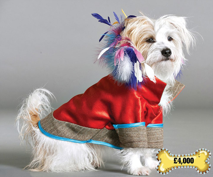 Hainute cu pene de strut pentru catei. Un costum canin de 4.000 de lire