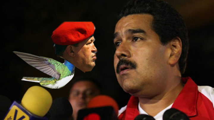 chavezbird - Ziarul National