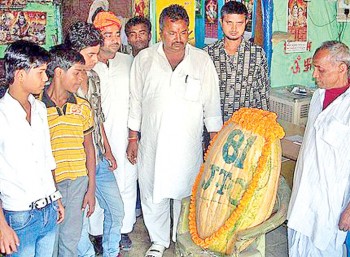 Good Gourd: Followers Worship Pumpkin - Ziarul National