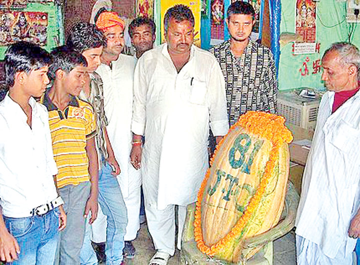 Un nou cult in India, pe baza de dovleac
