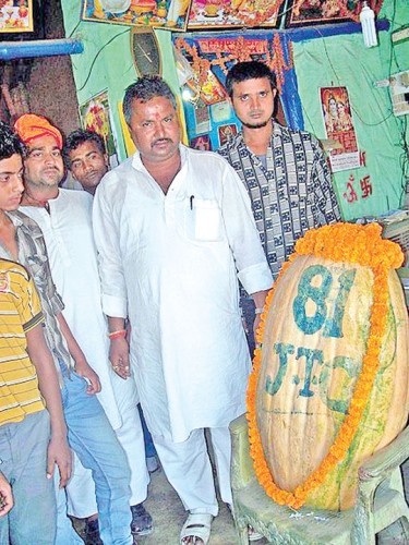 Good Gourd: Followers Worship Pumpkin - Ziarul National