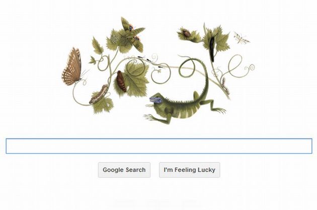 Maria Sibylla Merian, celebrata de Google pe 2 aprilie