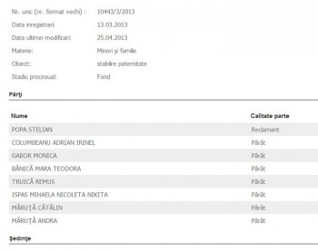 proces-truica-maruta-irinel - Ziarul National