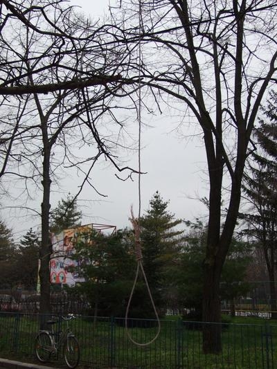Se intampla in zilele noastre! Imagine infioratoare: Spanzuratoare in centrul Timisoarei!