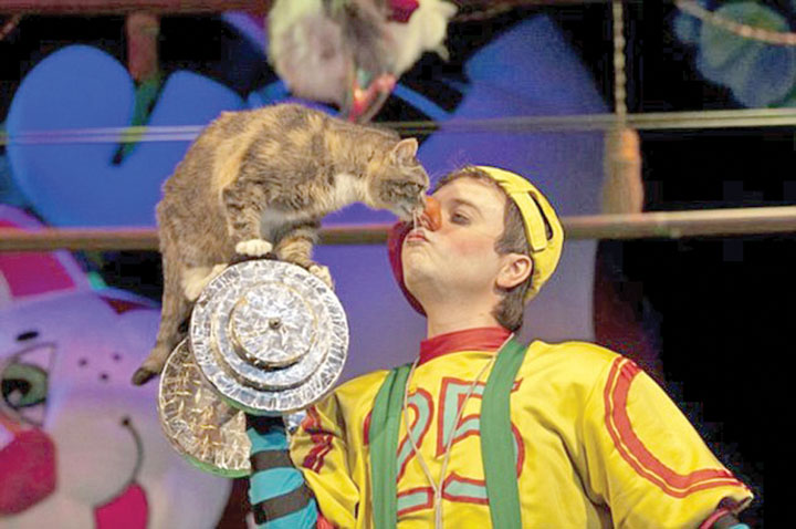 teatru pisici 3 - Ziarul National