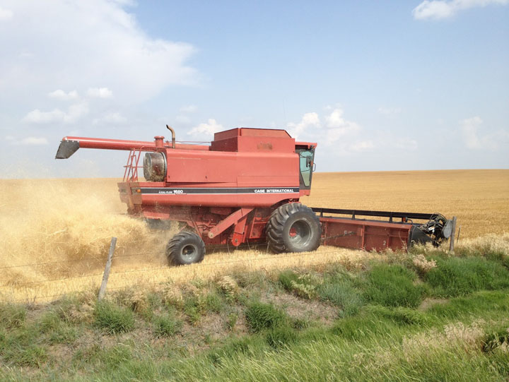 Se SCUMPEŞTE pâinea în România. Petre Daea spune adevărul verde-n faţă!
