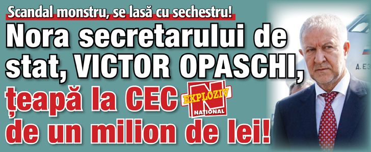 Fiul si nora secretarului de stat Victor Opaschi au tepuit CEC-ul!