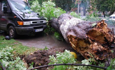 Furtuna a facut ravagii in Bucuresti! Masini distruse si copaci smulsi din radacini