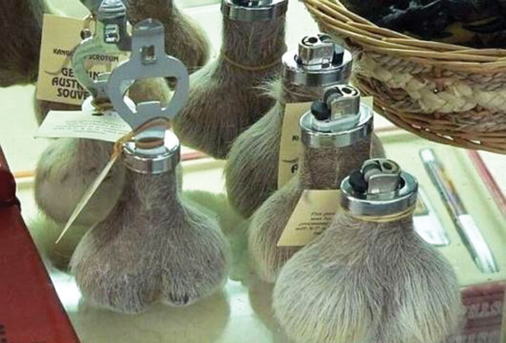 kangaroo souvenirs - Ziarul National
