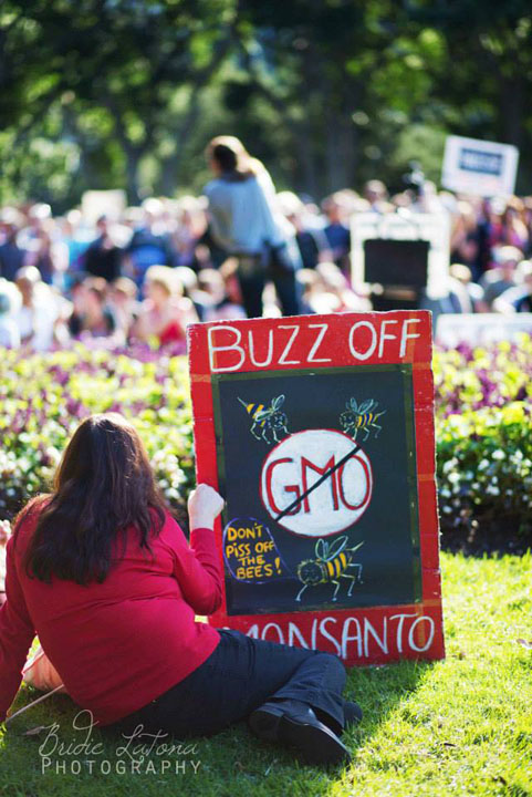 „Mobilizarea cetateneasca mondiala”. Toata lumea impotriva Monsanto
