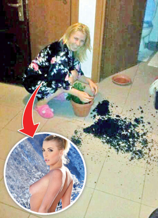 Alina Plugaru imprastie samanta prin toata casa!