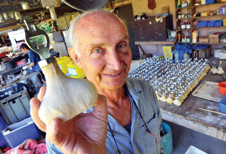 Afacere cu „oua” de canguri