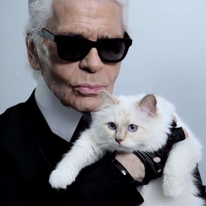 Choupette-Stars-Karl-Lagerfeld - Ziarul National