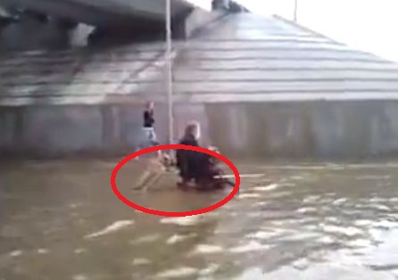 INCREDIBIL! Un CAINE isi ajuta stapanul, aflat in SCAUN cu ROTILE, sa scape dintr-o situatie limita! (VIDEO)