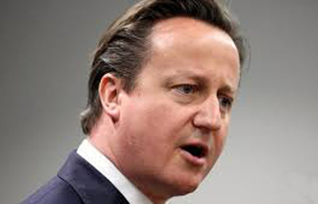 Cameron, primit de Regina, dupa ce conservatorii au castigat legislativele din Marea Britanie
