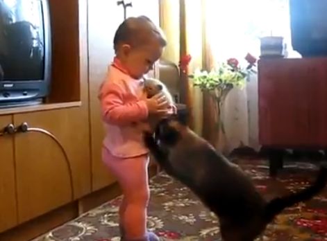 Super haios: O fetita se „lupta” cu o pisica pentru ce crede ea ca ar fi o jucarie! (VIDEO)