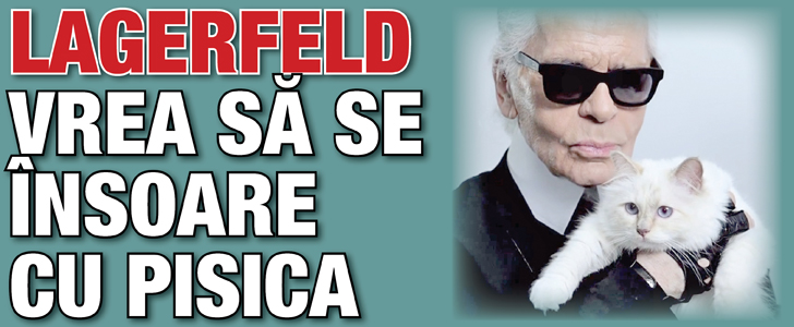 Karl Lagerfeld vrea sa se insoare cu pisica