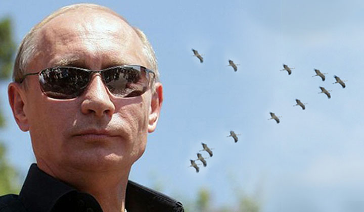 putin - Ziarul National