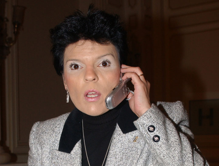 ANCA CONSTANTINESCU-FANE (10) - Ziarul National