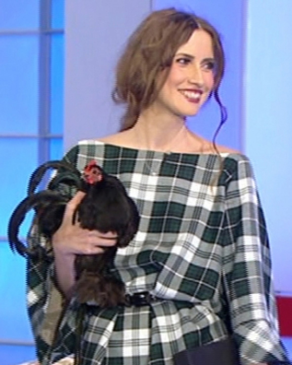 Iulia gaina - Ziarul National