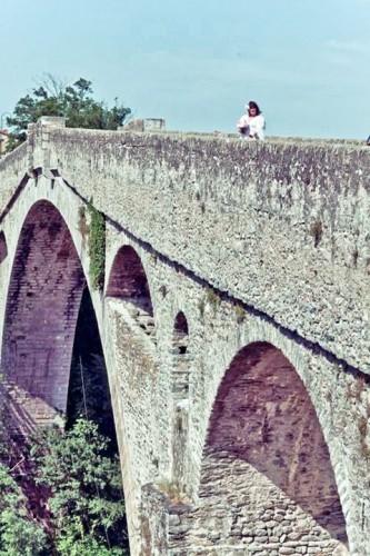 Jodi-Rose-bridge2 - Ziarul National