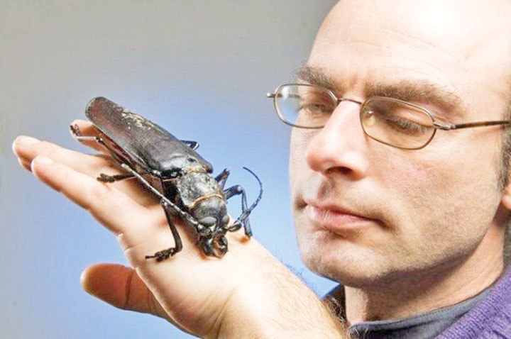 Titan-Beetle3 - Ziarul National