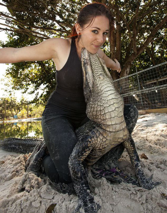 aligator 4 - Ziarul National