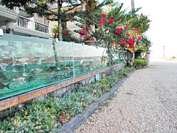 aquarium-fence3 - Ziarul National