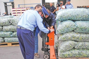 control-legume - Ziarul National