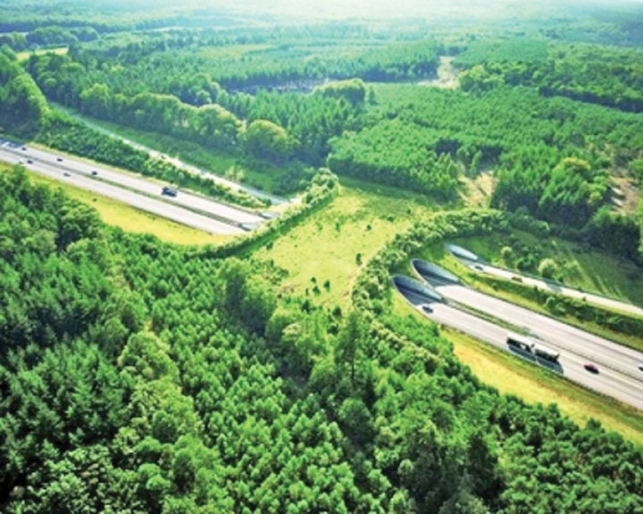 ecoduct-2 - Ziarul National