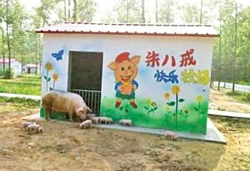 pig-village-china-550x376 - Ziarul National