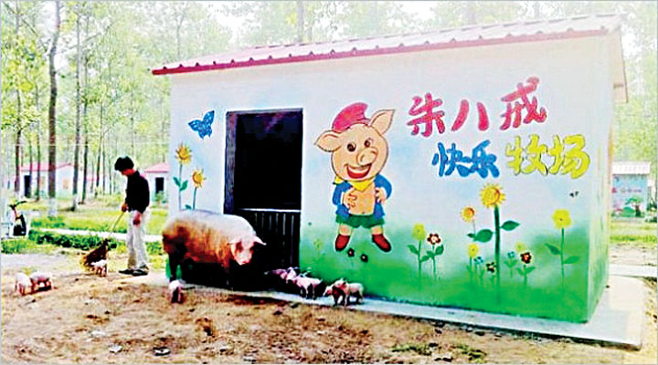 pigville - Ziarul National