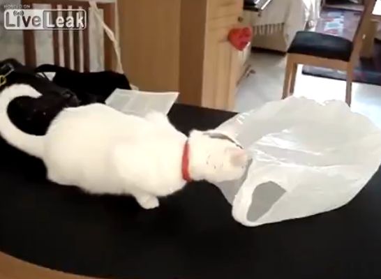 Are parte de surpriza vietii ei! (VIDEO)