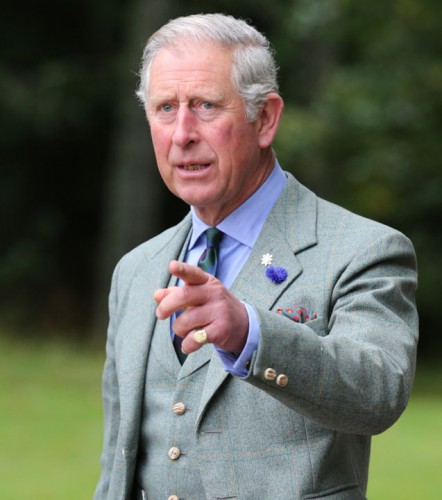 Charles presents service medals - Ziarul National