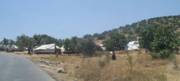 refugiati in propria tara - Ziarul National